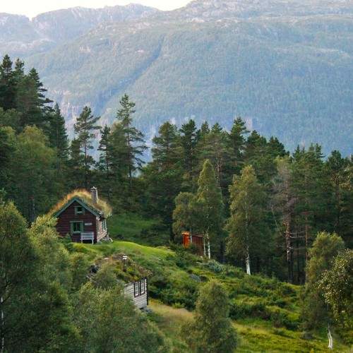 Photo #11245319