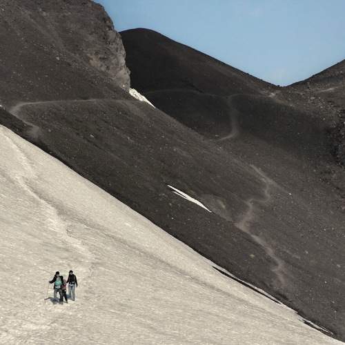 Photo #11245577