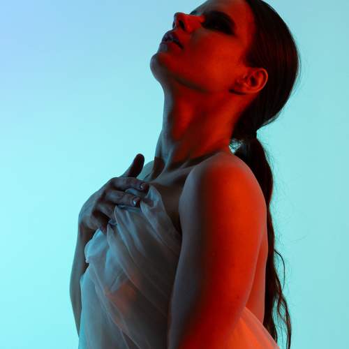 Photo #11245788