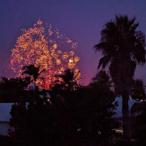 Photo #11246190