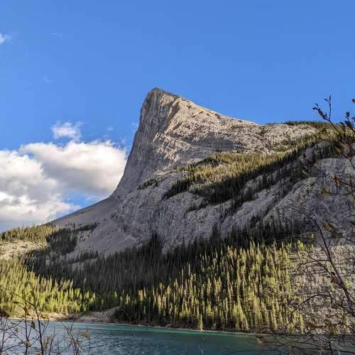Photo #11246198