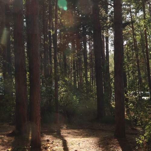 Photo #11246312