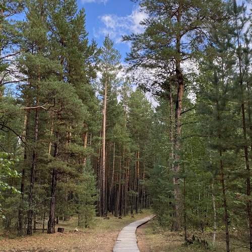 Photo #11246314