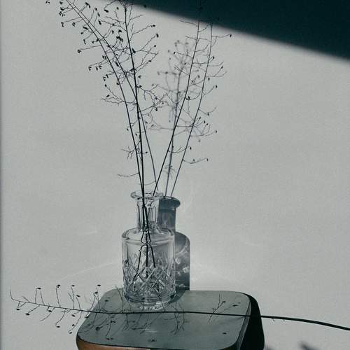 Photo #11246387