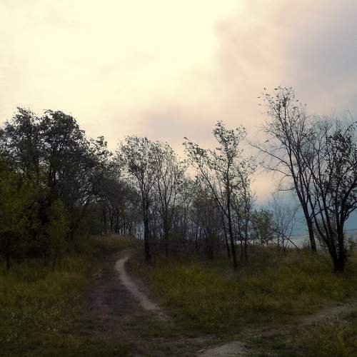 Photo #11246728