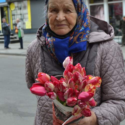 Photo #11246736