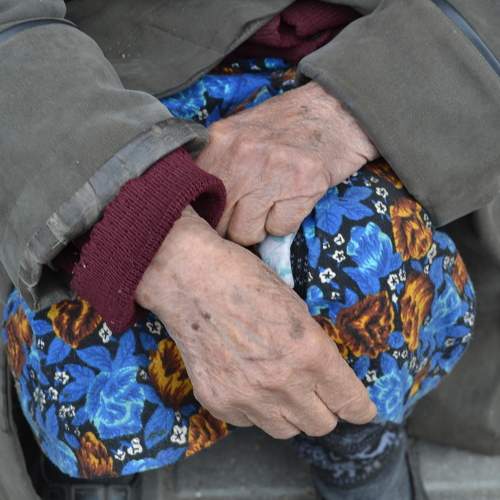 Photo #11246746