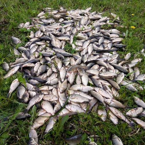 Photo #11246761
