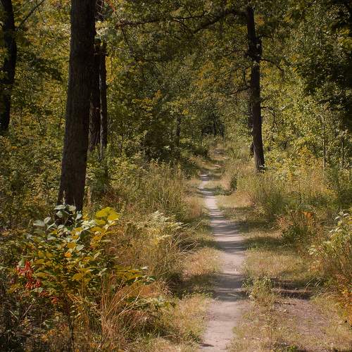 Photo #11246825
