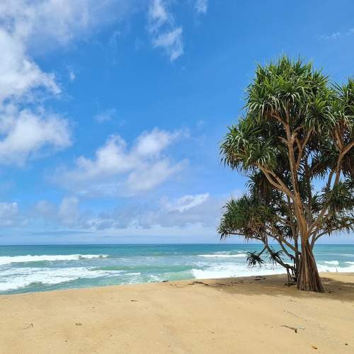 Photo #11246930