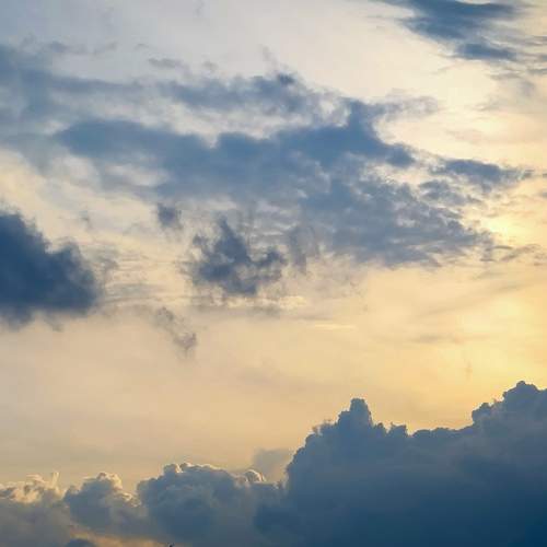 Photo #11246988