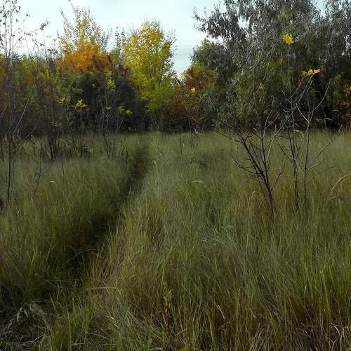 Photo #11247218