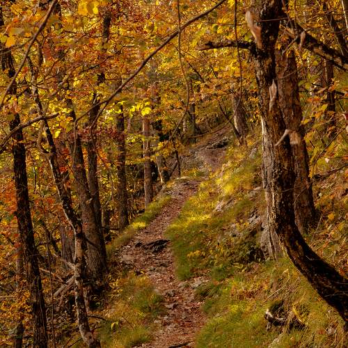 Photo #11247257