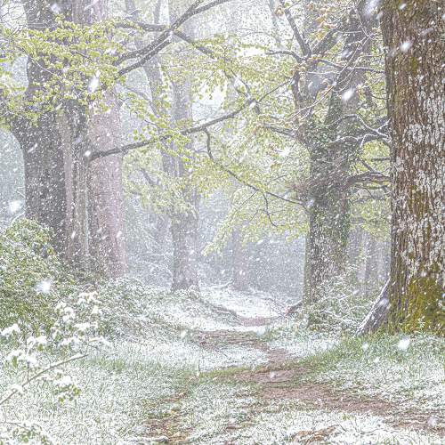 Photo #11247259