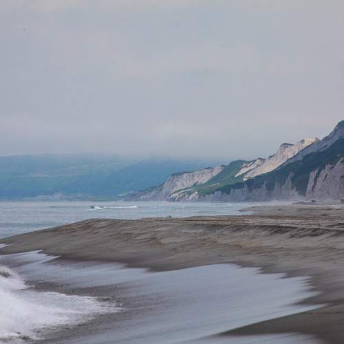 Photo #11247289