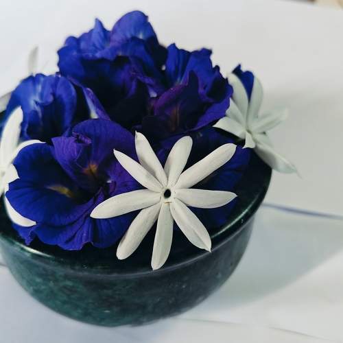 Photo #11247395