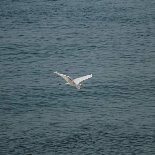Photo #11247573