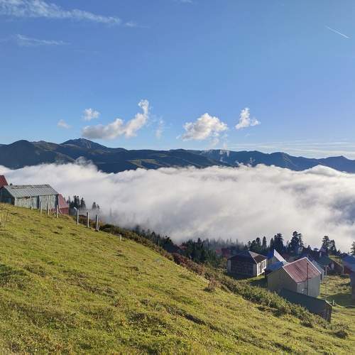 Photo #11247646