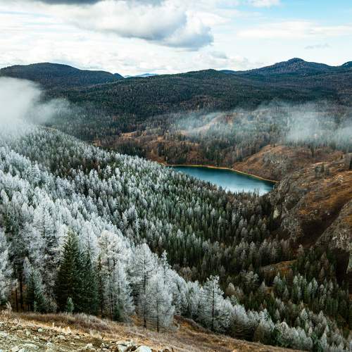 Photo #11247666
