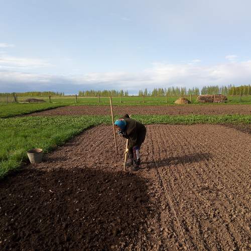 Photo #11247796