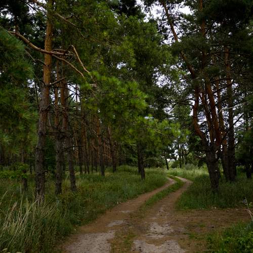 Photo #11248207