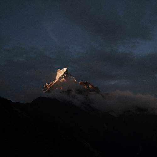 Photo #11248339