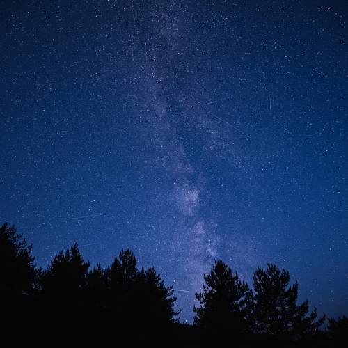 Photo #11248403