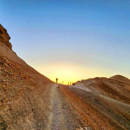 Photo #11248706