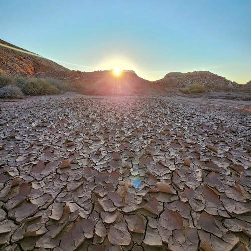 Photo #11248735
