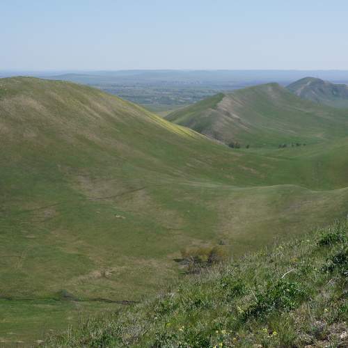Photo #11248761