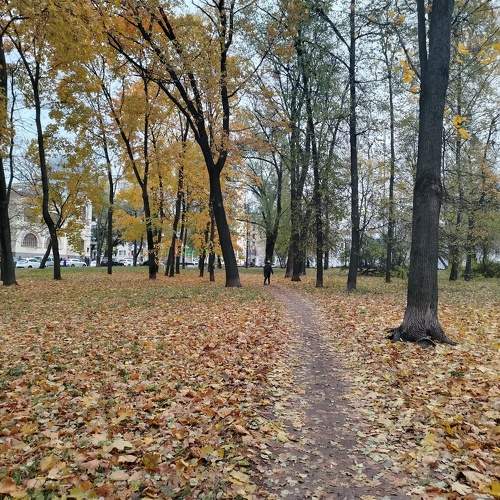 Photo #11248809