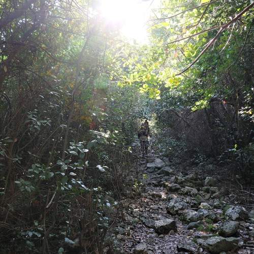 Photo #11249127