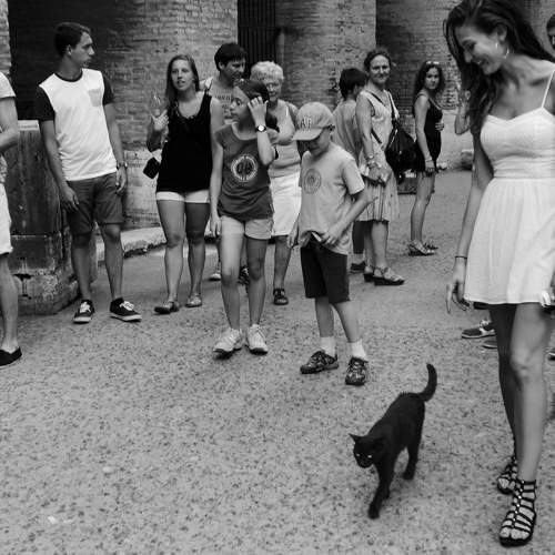 the Guardian of the Colosseum