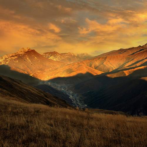 Photo #11249788
