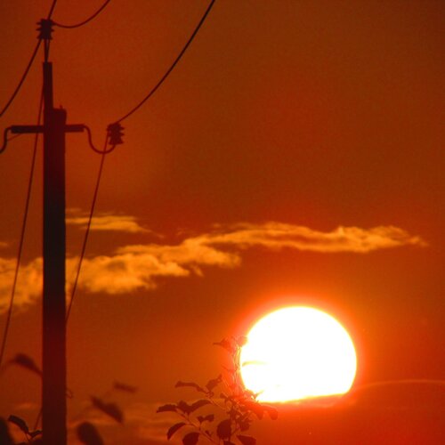 Photo #1125380