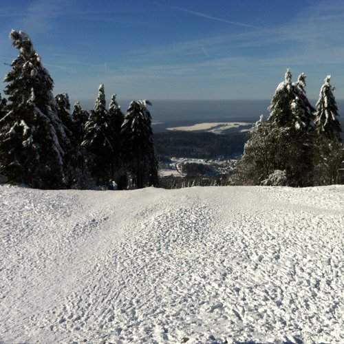 Taunus