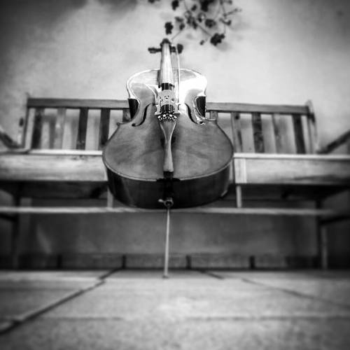 musica
