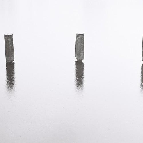 Photo #1127268