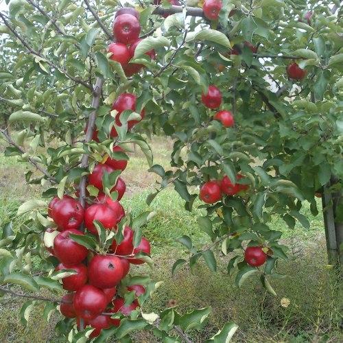 Photo #1128439