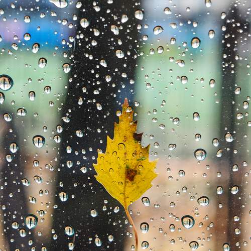 Photo #11250098