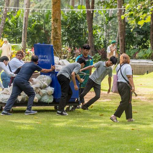 Photo #11250454