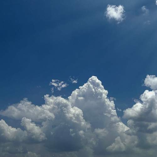 Photo #11250823