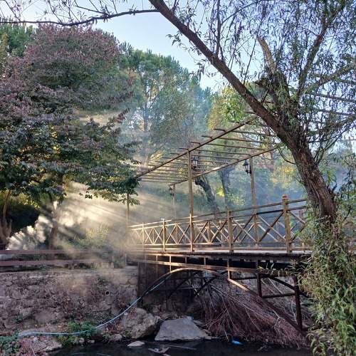 Photo #11250841