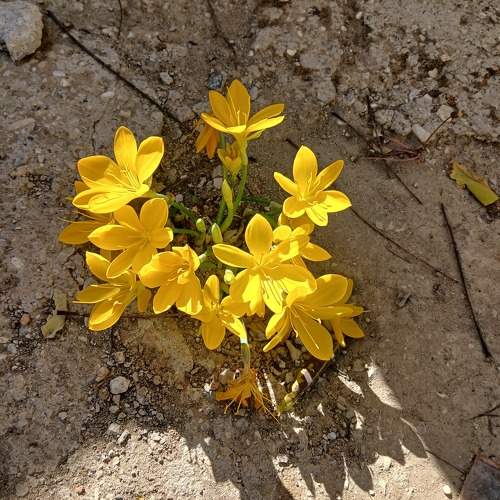 Photo #11250865