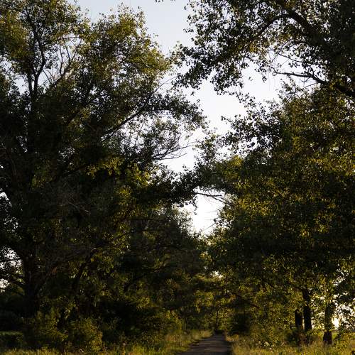 Photo #11250981