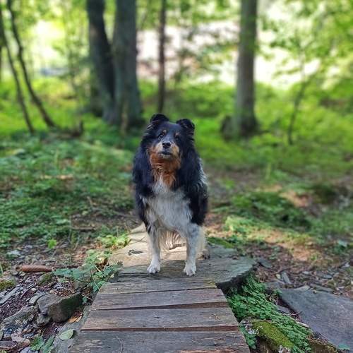 Photo #11251093