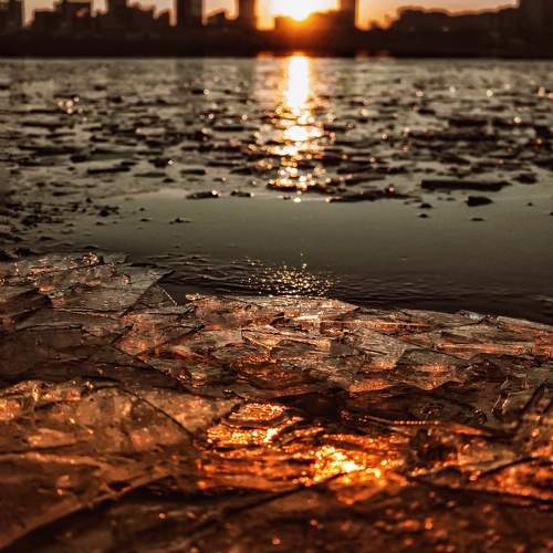 Photo #11251763