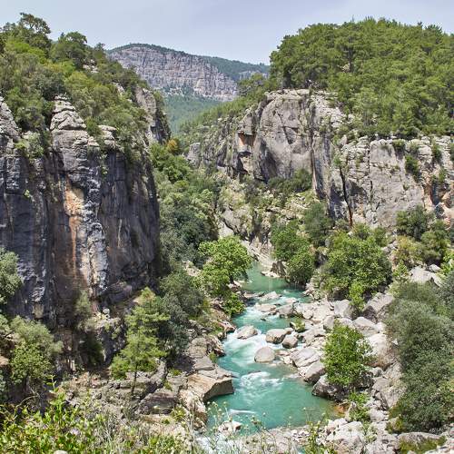 Photo #11252025