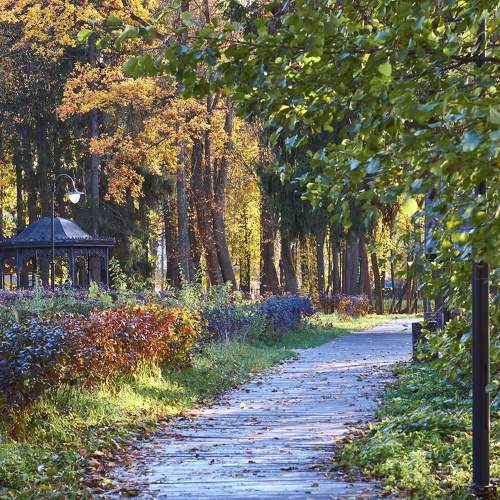 Photo #11252026