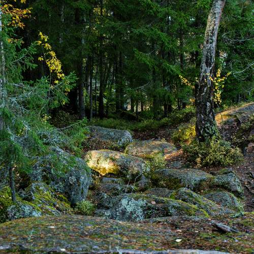 Photo #11252120